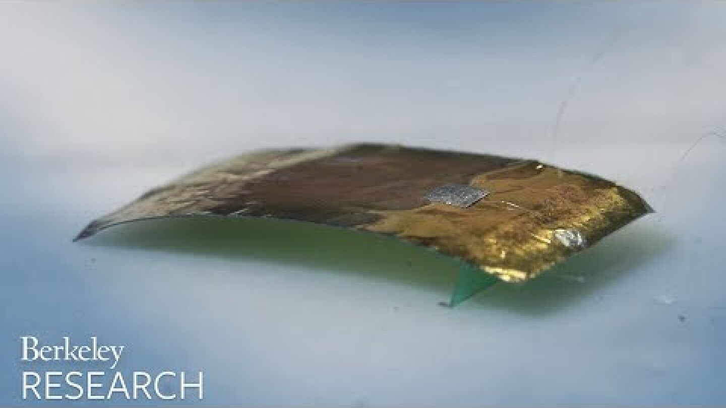 This robot has some eerie similarities to cockroaches