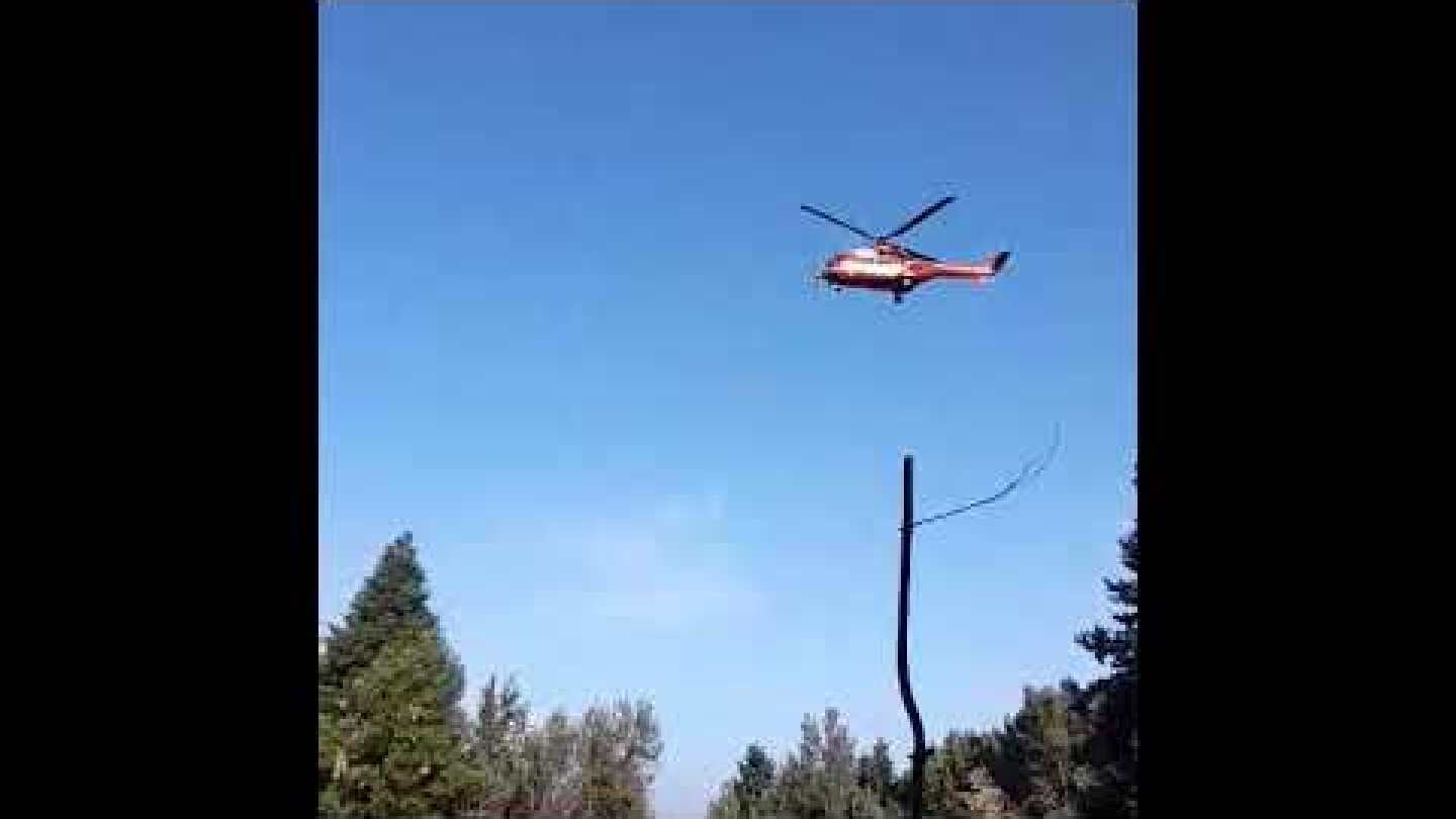 Αστυνομική επιχείρηση που αφορά τον εντοπισμό δενδρυλλίων κάνναβης στον ορεινό όγκο του Ολύμπου