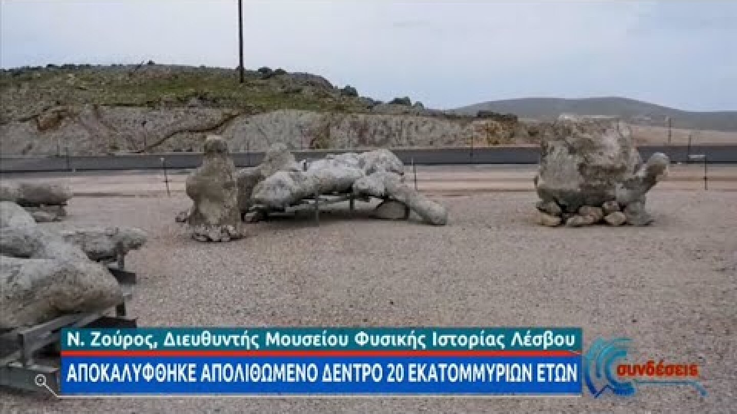 Το Απολιθωμένο Δάσος συνεχίζει να αποκαλύπτει το γεωλογικό παρελθόν της Λέσβου | 01/02/2021 | ΕΡΤ