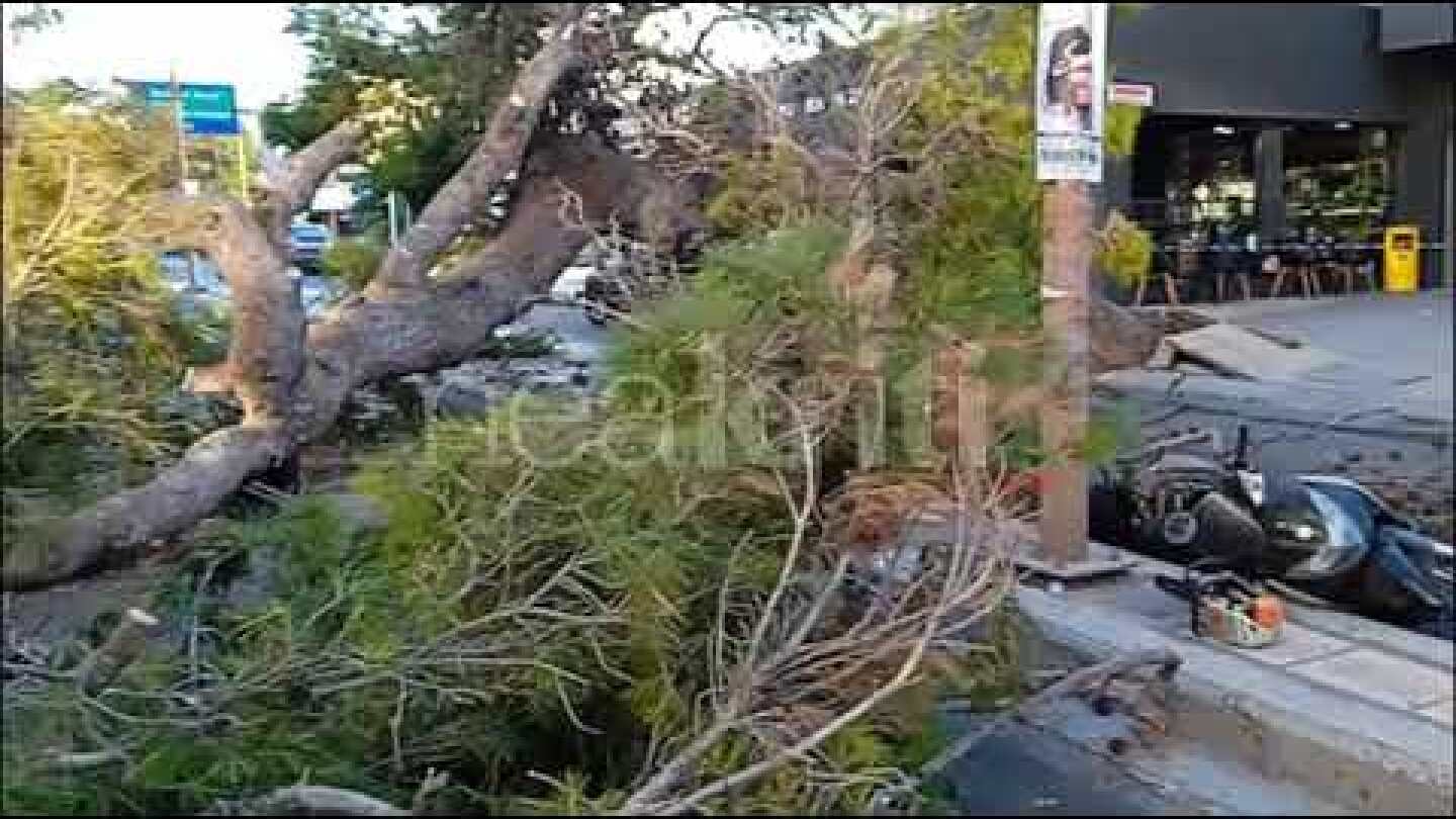 Δέντρο καταπλάκωσε και σκότωσε δικυκλιστή στην Λεωφόρο Δημοκρατίας