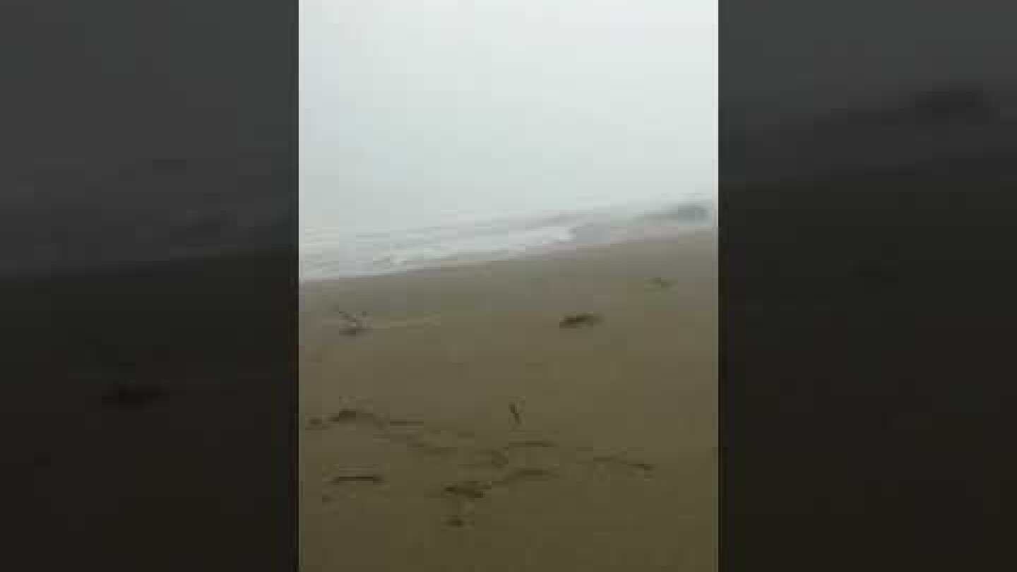 Kite surf. Sardinia storm.Tromba daria.Italia. Sardegna. villaputzu. Porto corallo. 29/10/2018