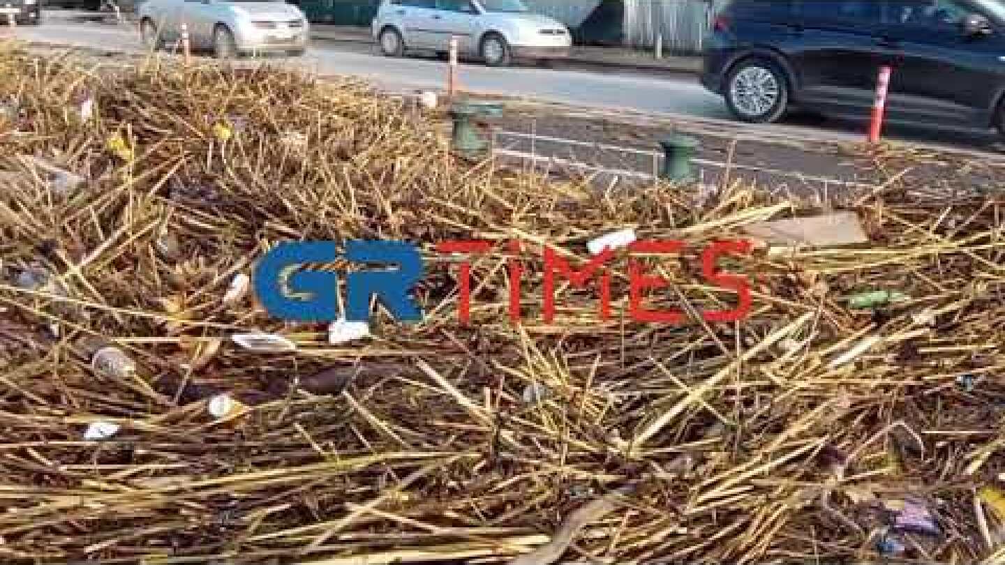 Θεσσαλονίκη-κακοκαιρια: Ξέβρασε σκουπίδια ο Θερμαϊκός