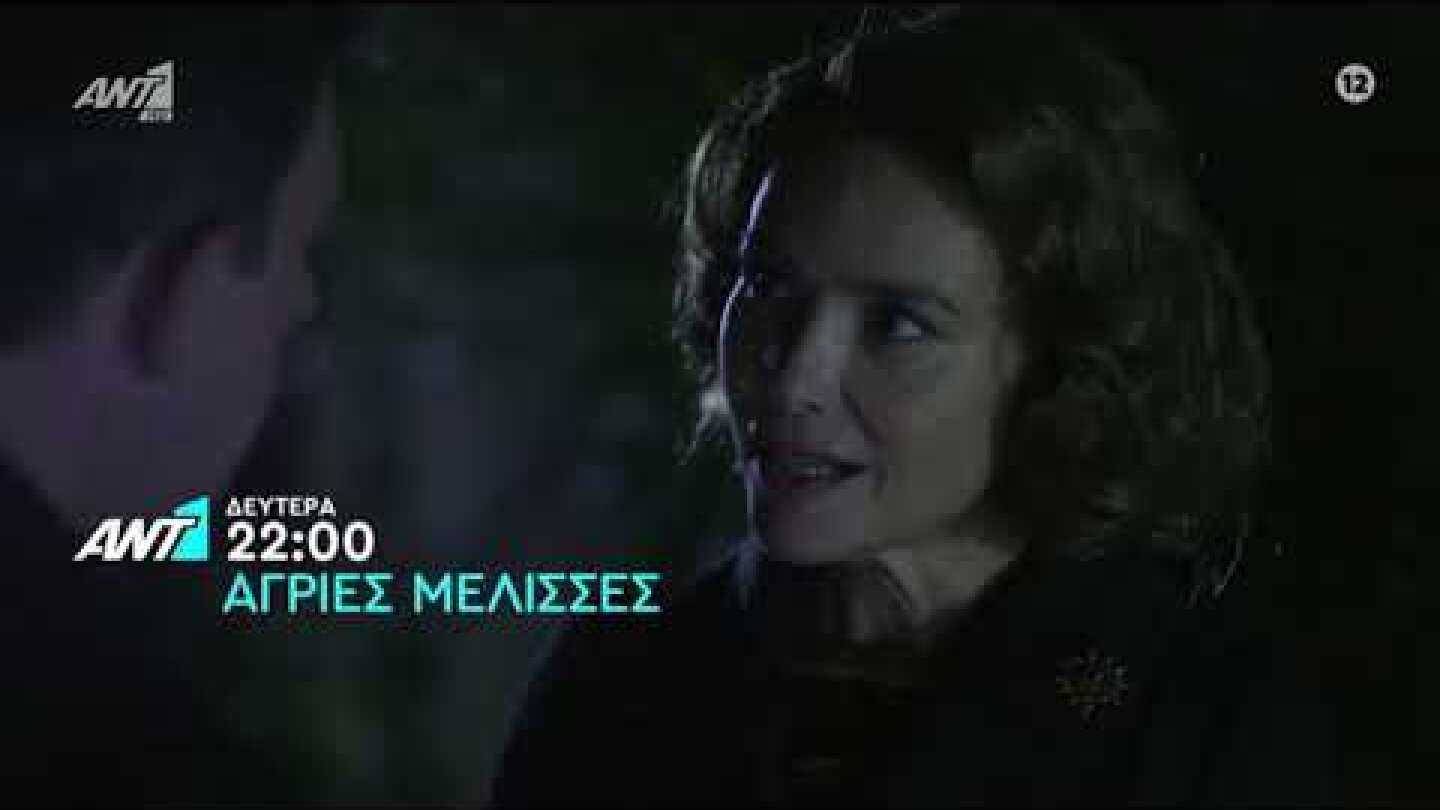 Άγριες μέλισσες - Δευτέρα 8/11/2021 - TRAILER