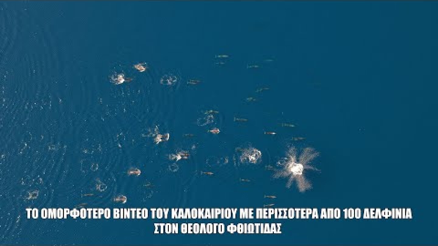 Το ομορφότερο βίντεο του καλοκαιριού. Η απιστευτη χορογραφία απο μια αγέλη Δελφινιων στον Θεολόγο.
