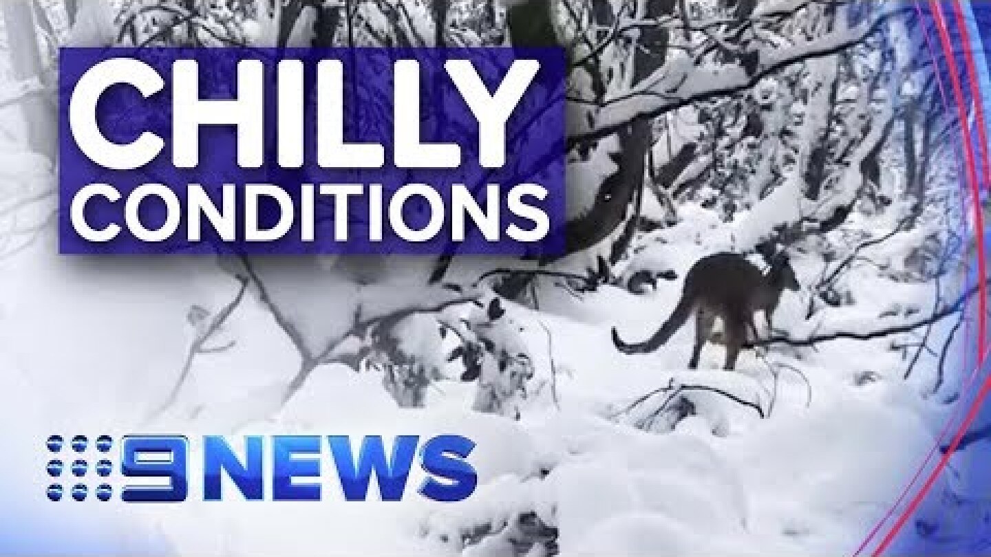 Victoria hit with a wintry blast | Nine News Australia