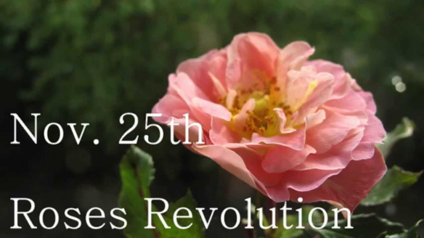 #rosrev - Roses Revolution - Stopp Obstetric Violence!