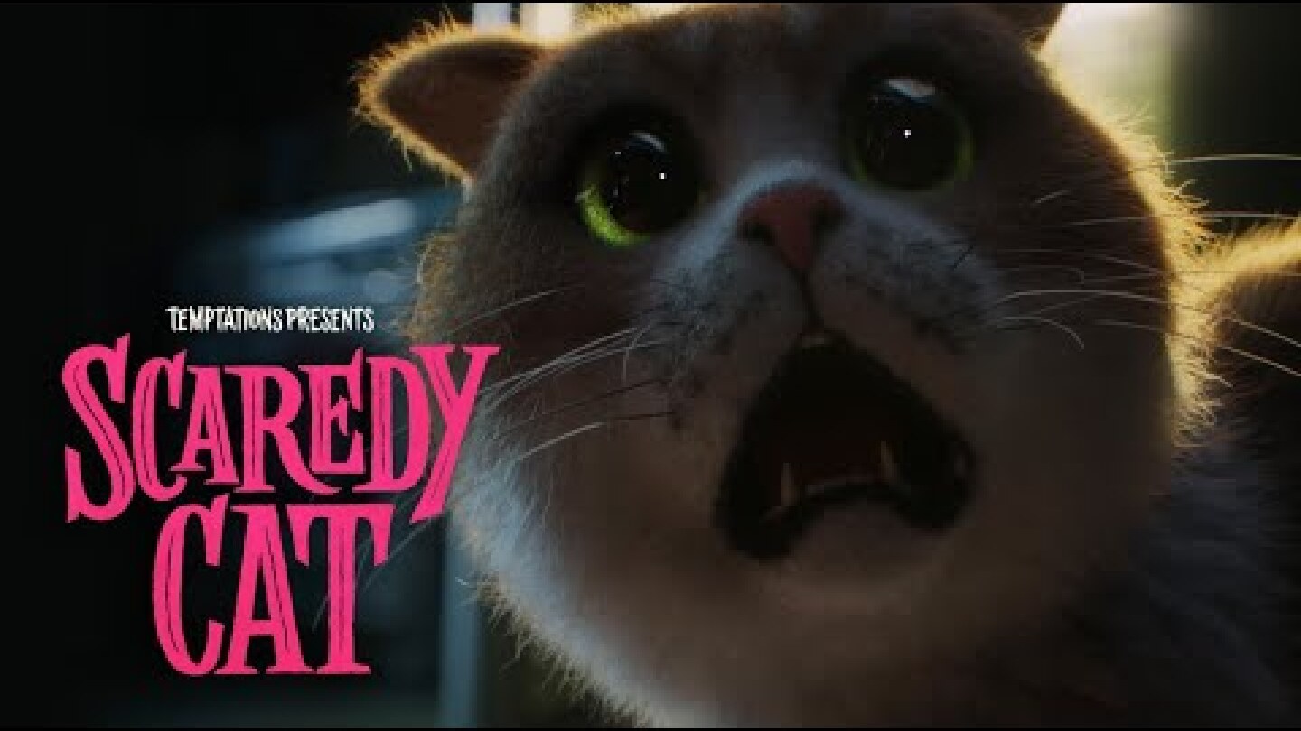 SCAREDY CAT THE MOVIE