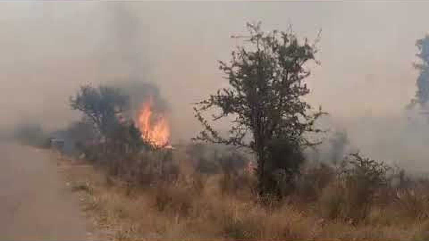 Μεγάλη η πυρκαγιά στους Χράνους Μεγαλόπολης