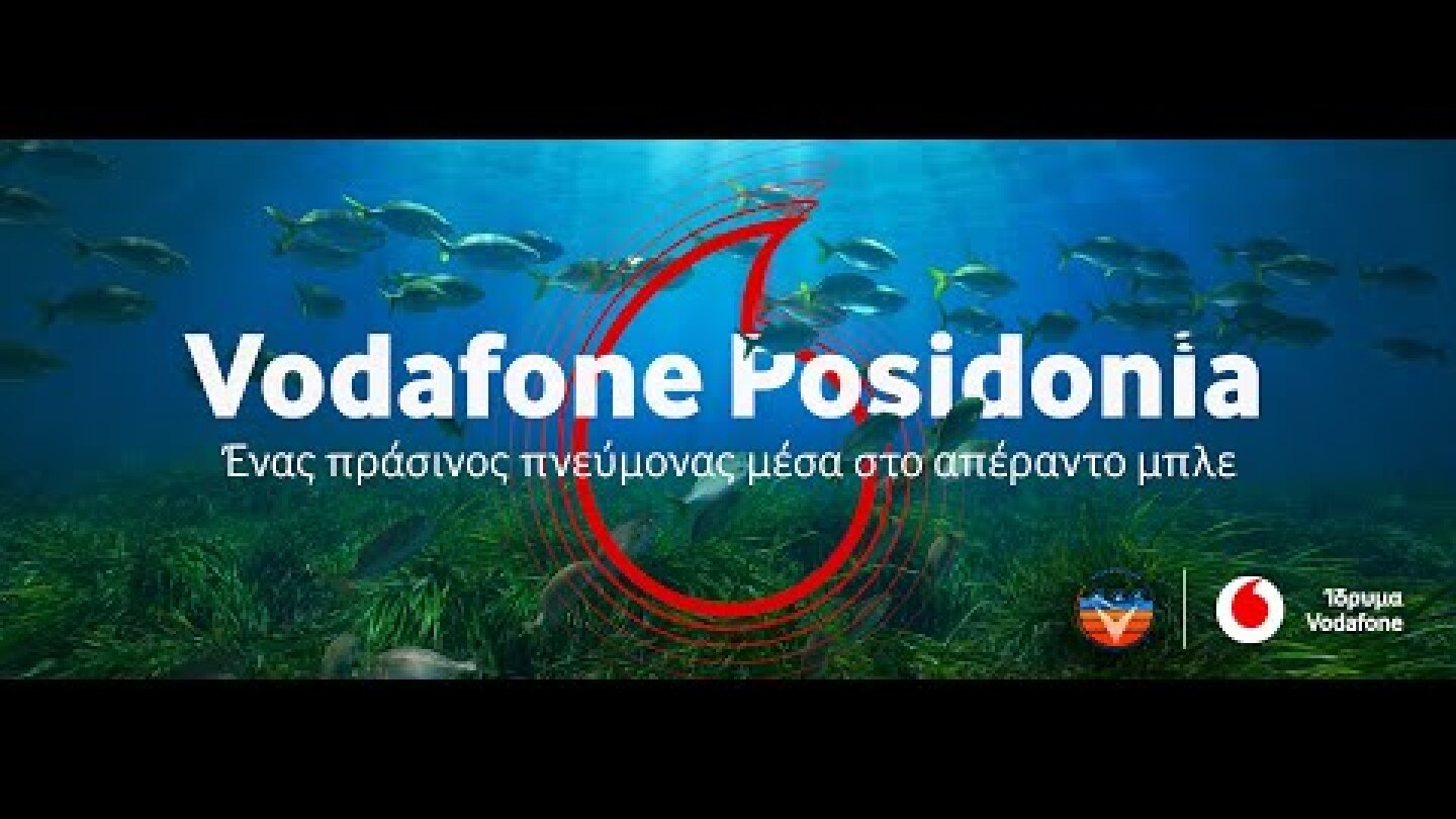 VODAFONE POSIDONIA: Το νέο πρόγραμμα του Ιδρύματος Vodafone για την προστασία της Ποσειδωνίας