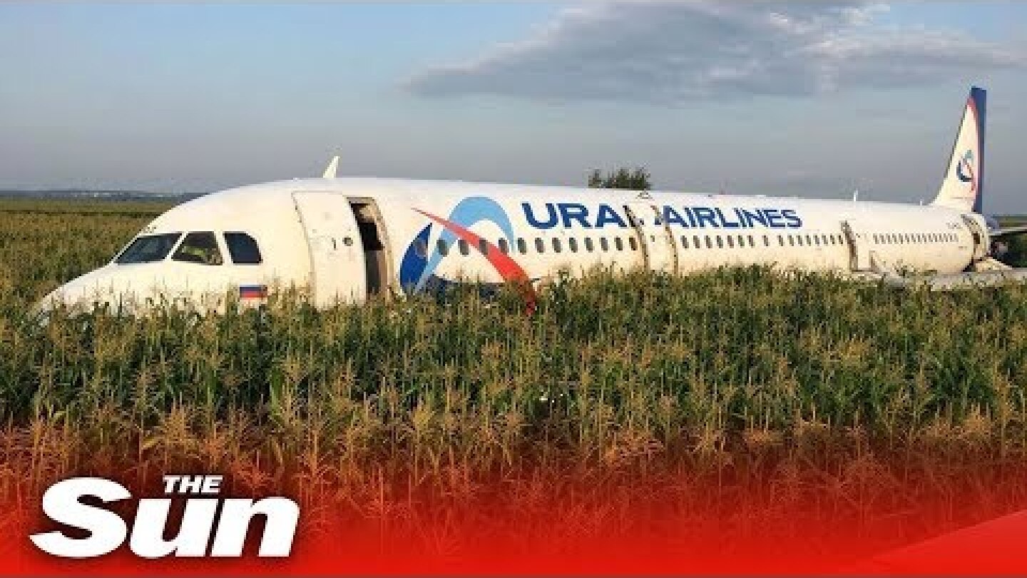 In-flight video of bird strike & emergency landing | Ural A321