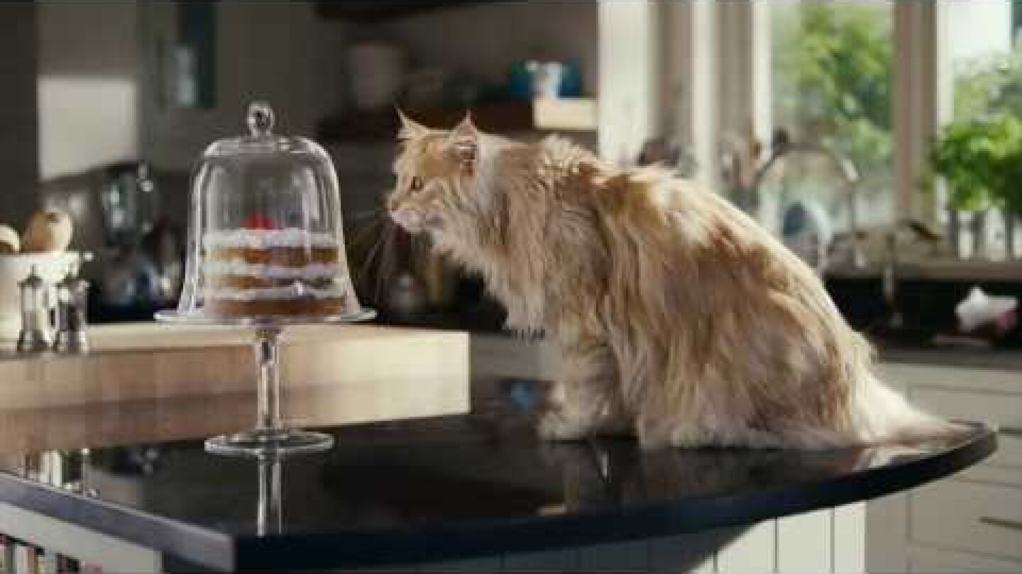 O2 Refresh - Be more dog