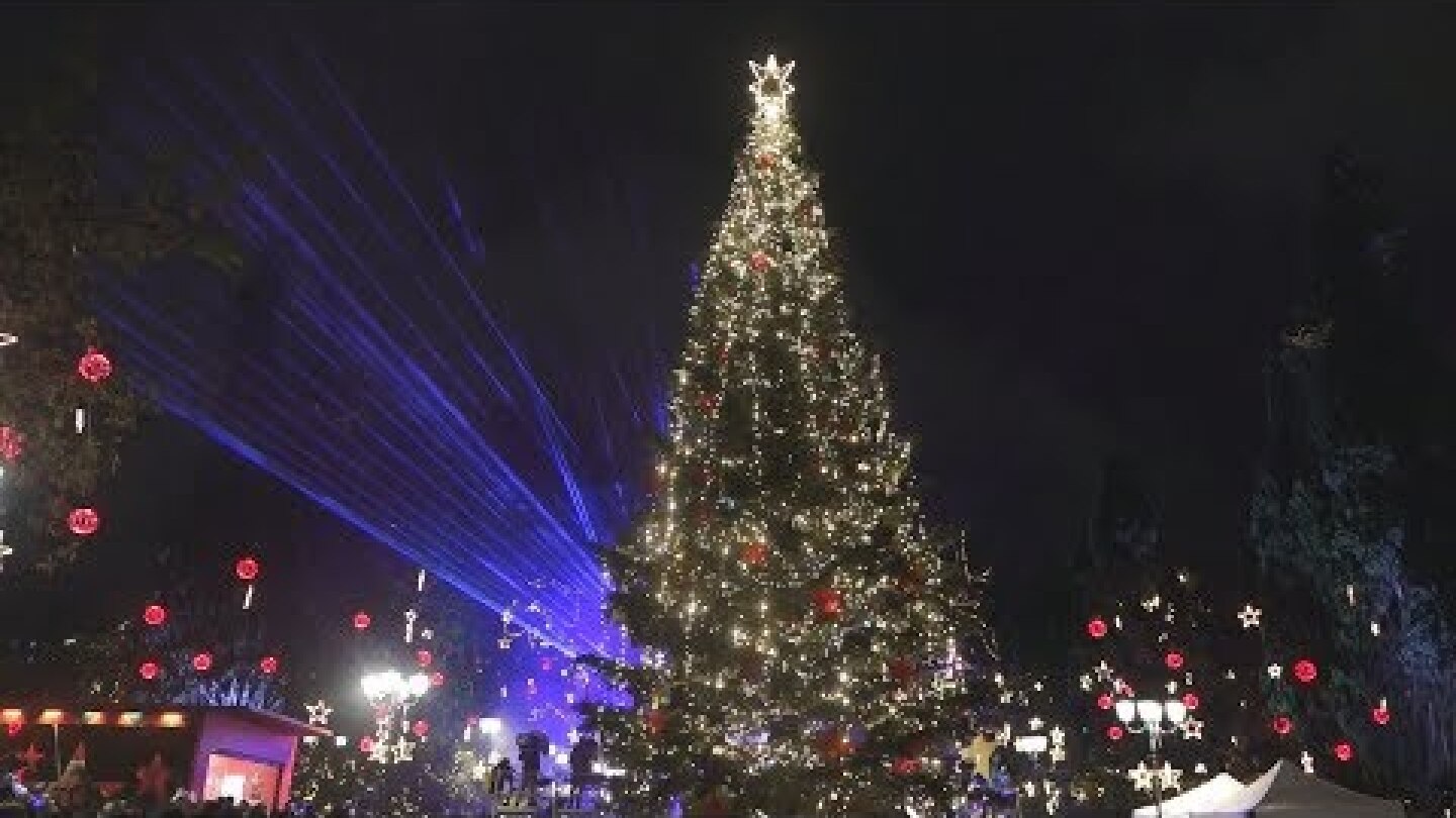 Φωταγώγηση του δέντρου Χριστουγέννων στο Σύνταγμα