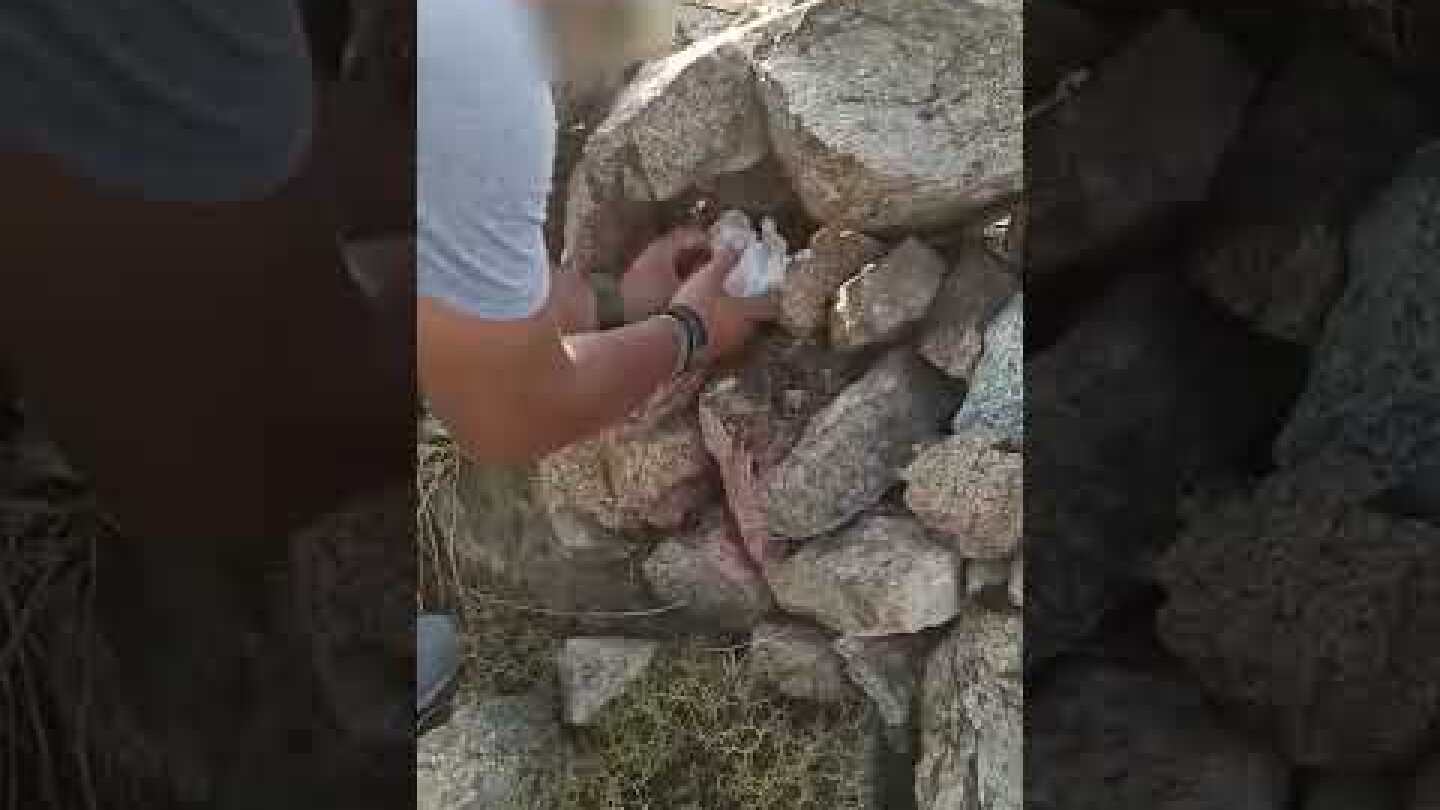 Εξαρθρώθηκε εγκληματική οργάνωση που διακινούσε διάφορα είδη ναρκωτικών στη Μύκονο