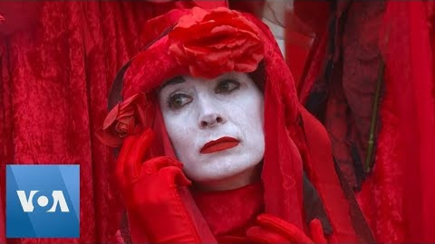 Extinction Rebellion Set to Launch New UK Protests