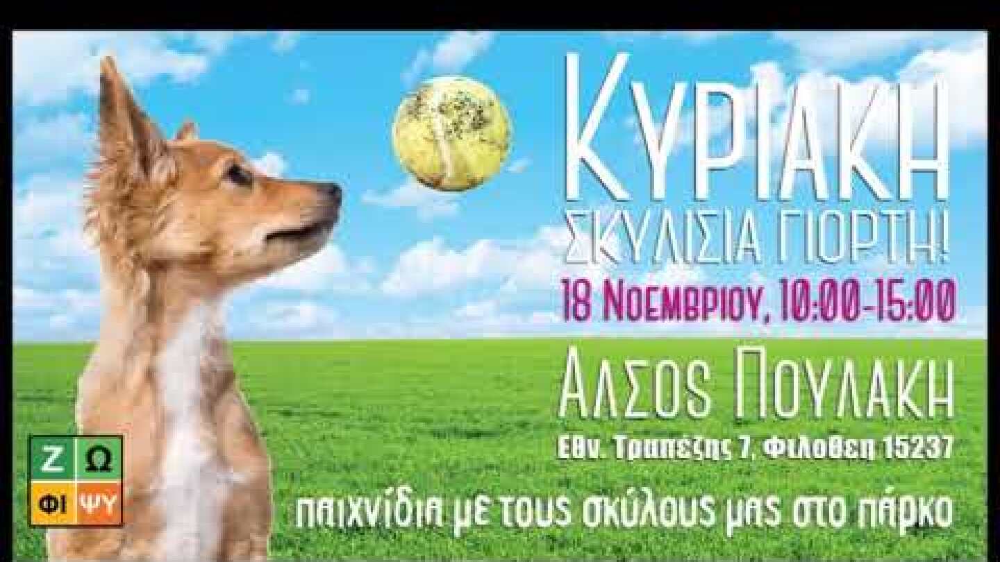 ΝΕΑ ΗΜΕΡΟΜΗΝΙΑ: 25/11/2018 - Κυριακή, Σκυλίσια Γιορτή!