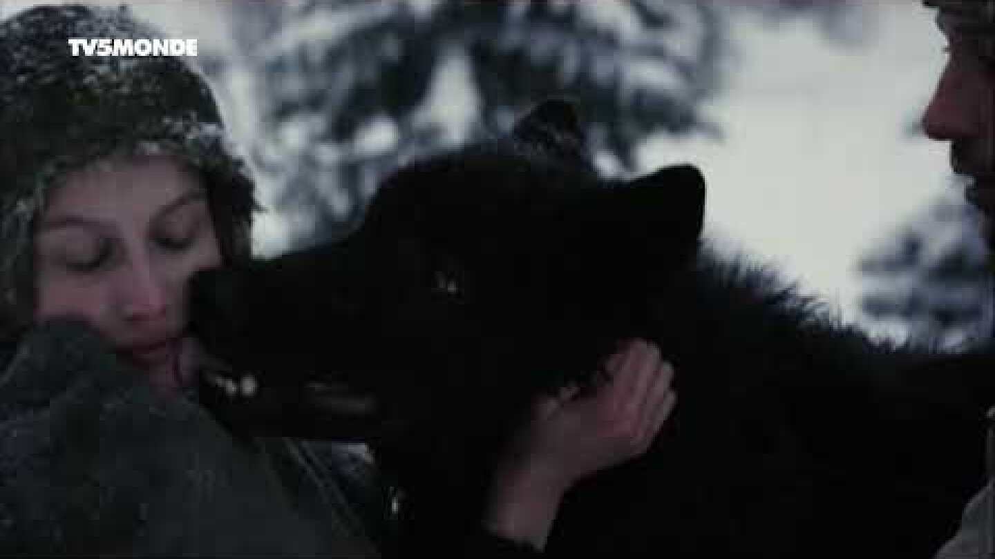 [TRAILER] La jeune fille et les loups (with English subtitles)