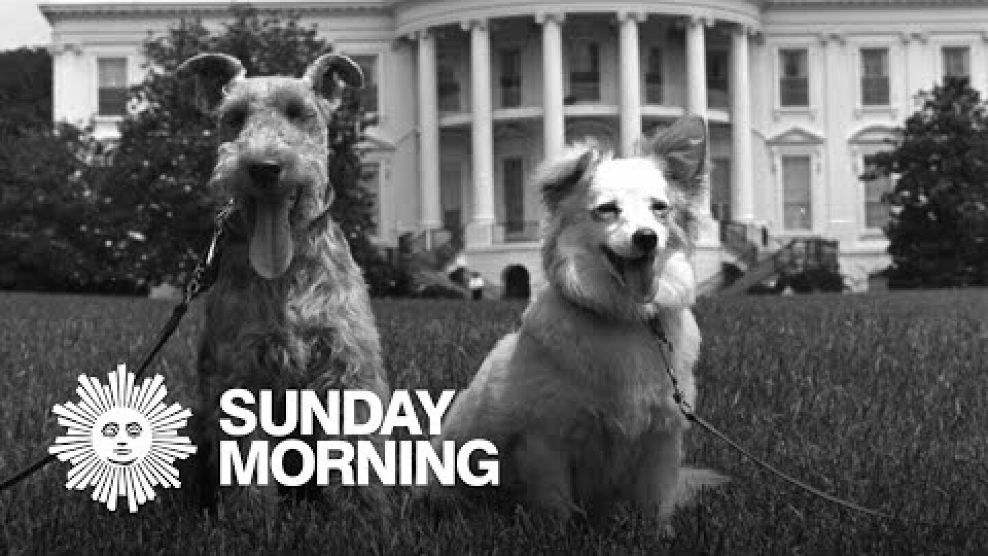 All the presidents' pets: JFK's canine détente