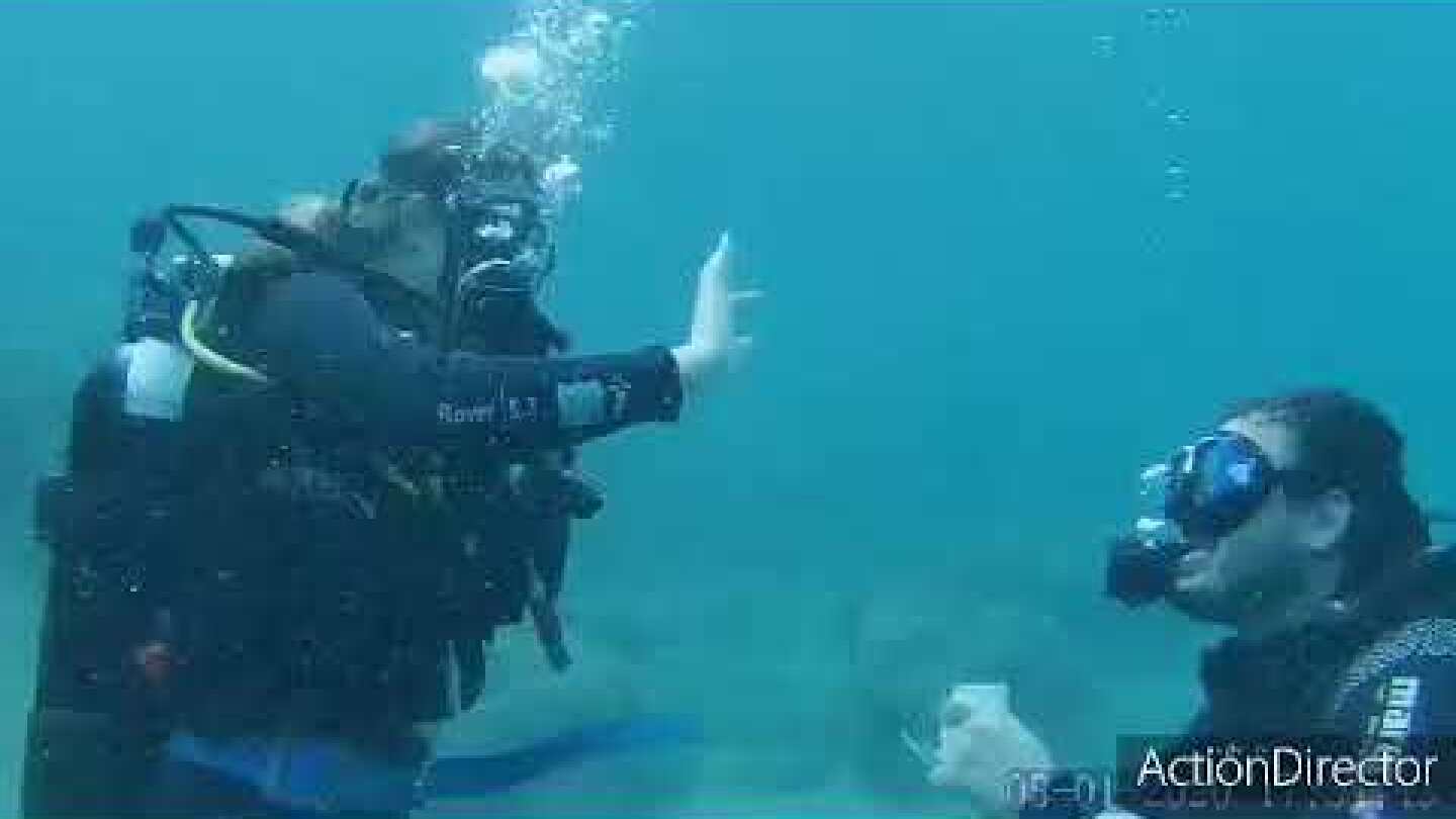 Υποβρύχια πρόταση γάμου στην Αλόννησο!