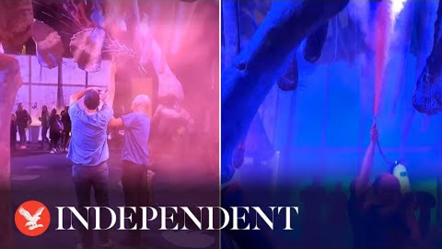 Just Stop Oil throw paint over 120ft dinosaur skeleton replica in Natural History Museum