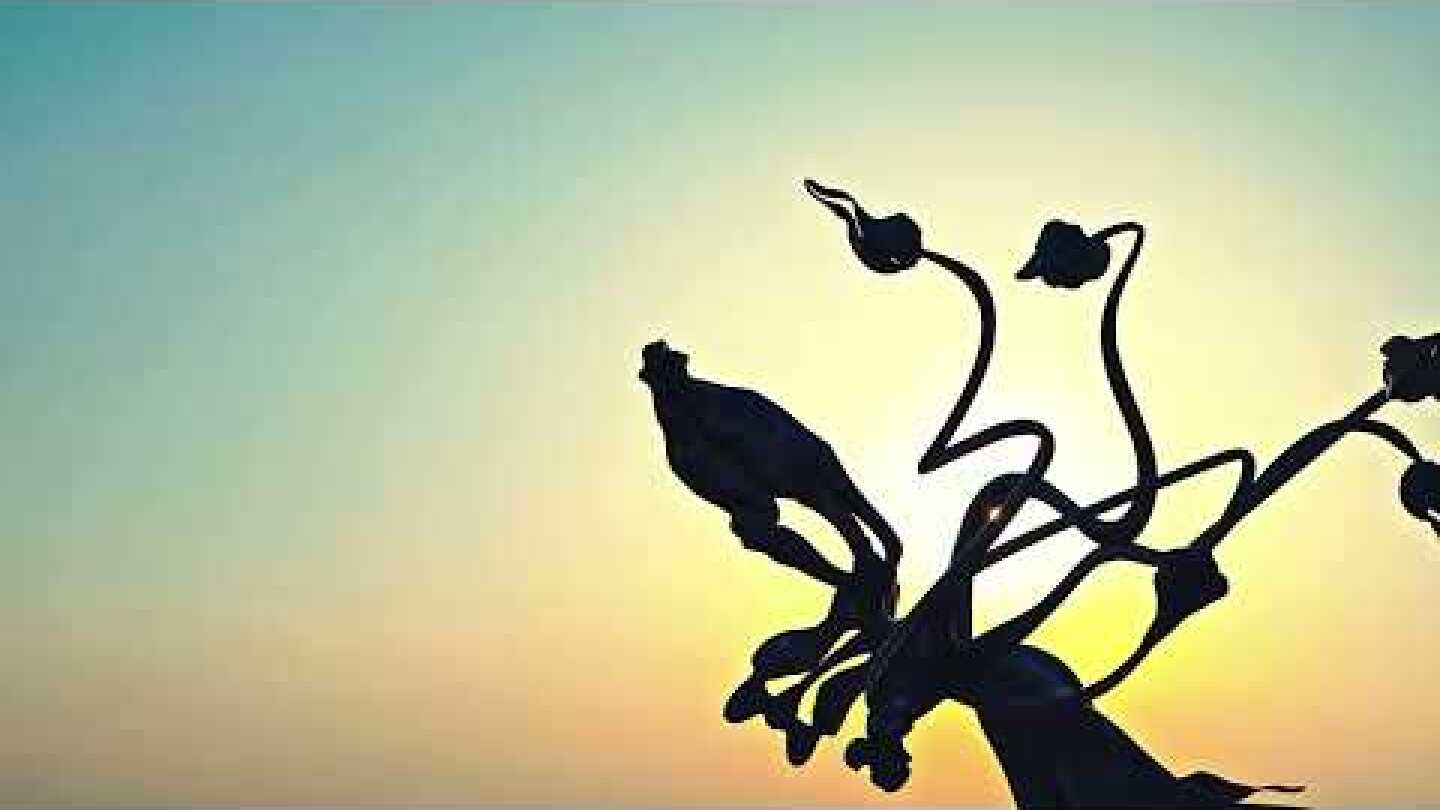 Parco d'Arte Sandretto Re Rebaudengo