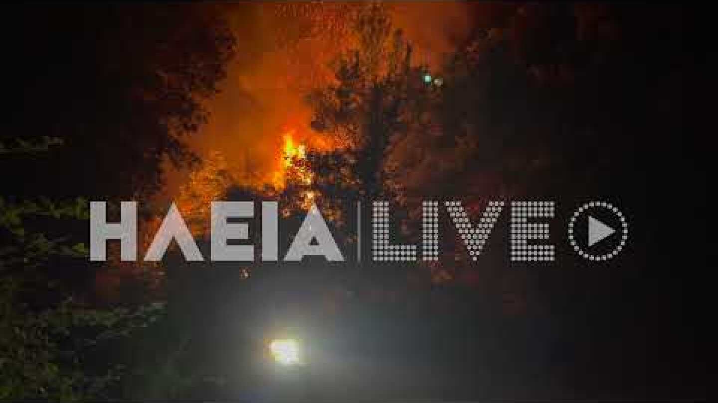 ilialive.gr - Εικόνες καταστροφής στη Γορτυνία