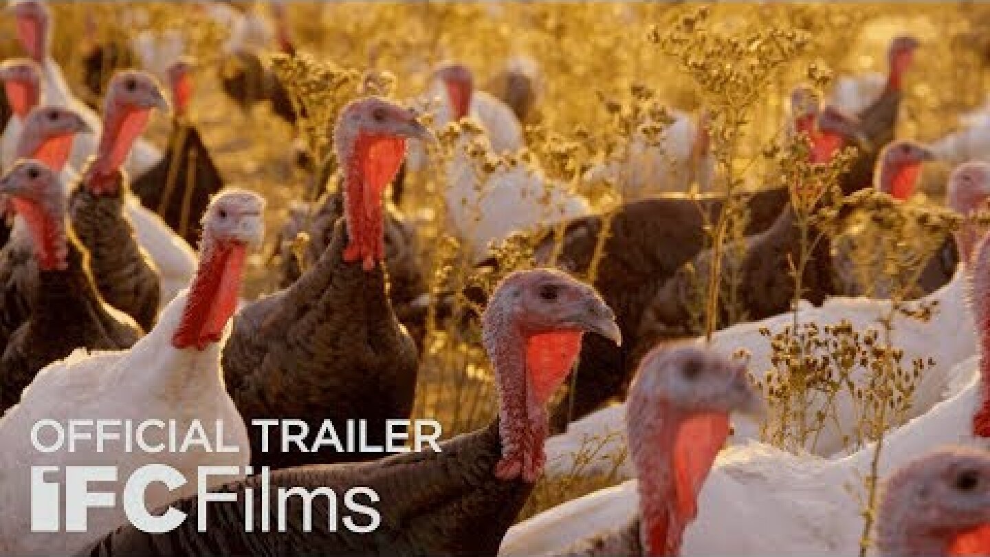 Eating Animals - Official Trailer | HD | IFC Films