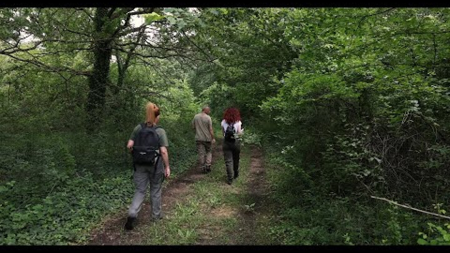 Tο Δάσος των Μουριών με αιωνόβια δέντρα, γίνεται επισκέψιμο στο κοινό μετά από 20 χρόνια