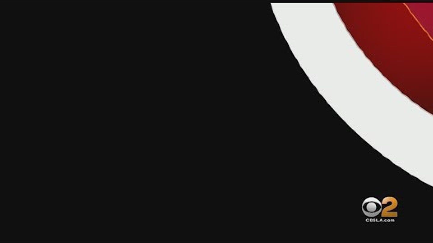 Torrance Woman, 21, Dies In Shark Attack In The Bahamas