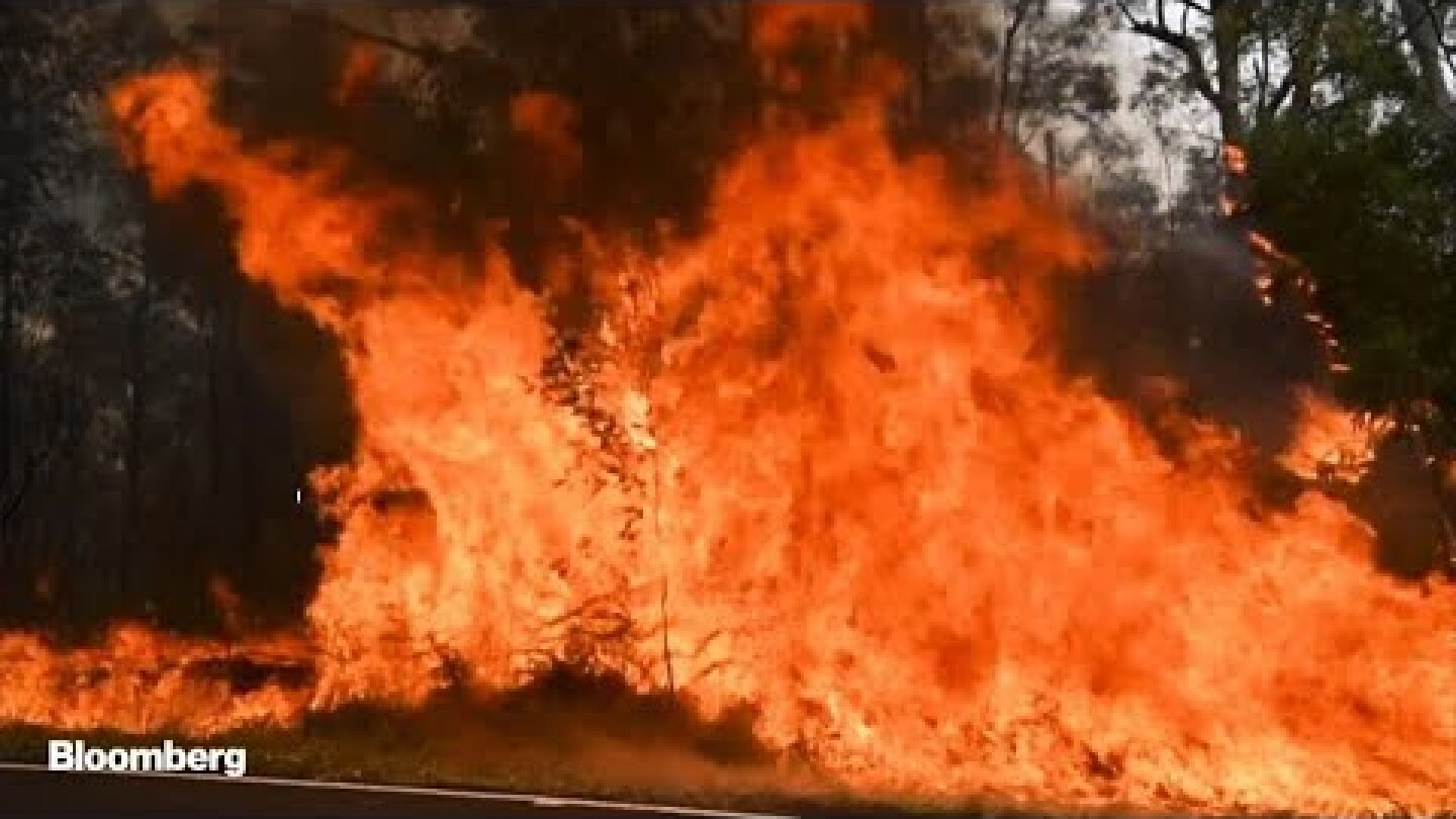 Wildfires Cause Sydney to Declare Health Emergency