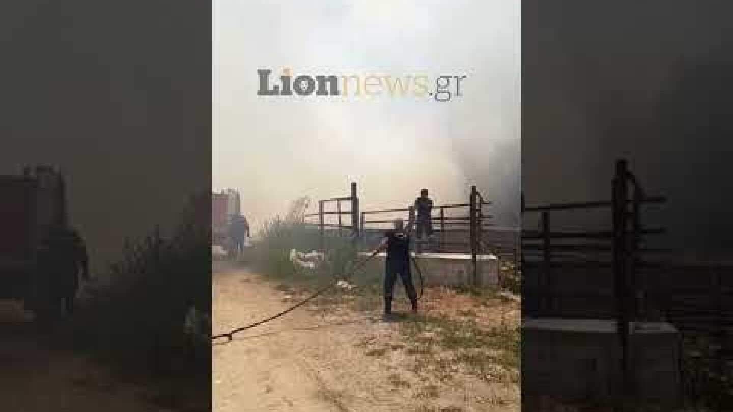 Μεγάλη πυρκαγιά στις Σέρρες: Οι φλόγες απειλούν επιχειρήσεις και τα πρώτα σπίτια στην Οινούσσα