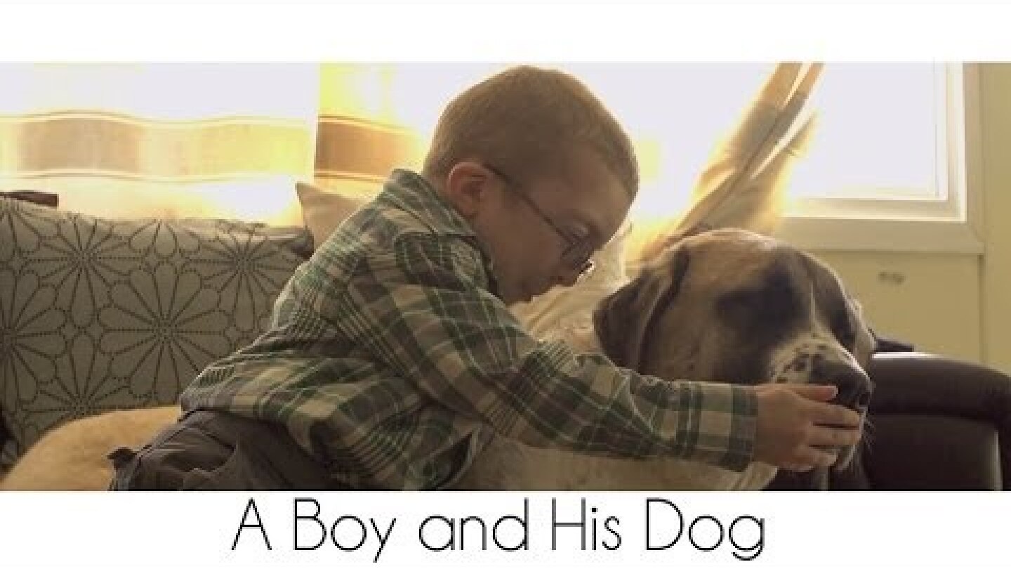 A Boy and His Dog