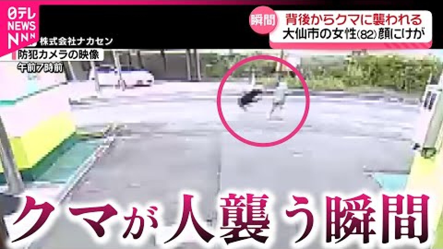 【恐怖】背後から突然… 市街地でクマが女性を襲う瞬間の映像  熊出没の原因と注意点は？　秋田　NNNセレクション