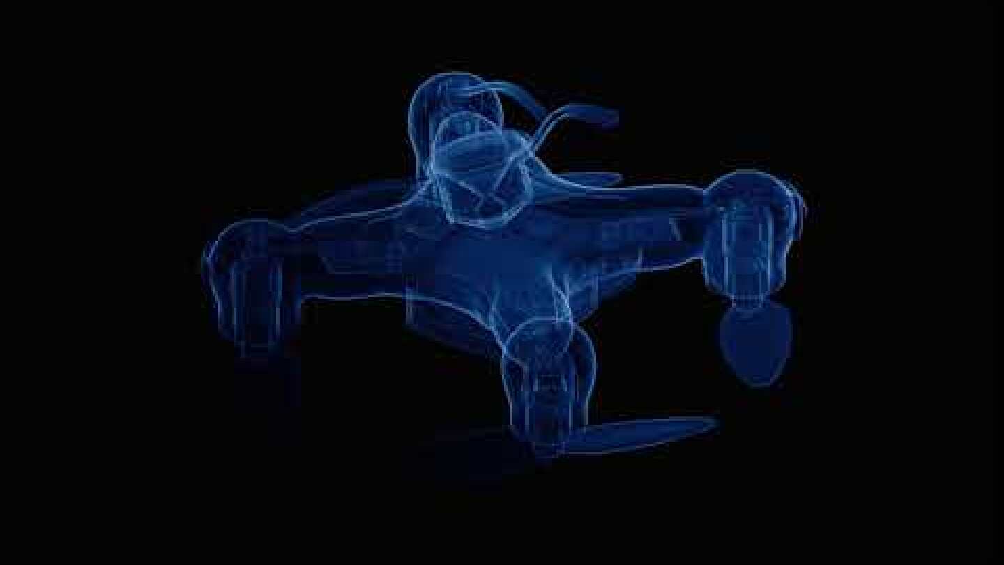 SS-4 "Stinger" schematic