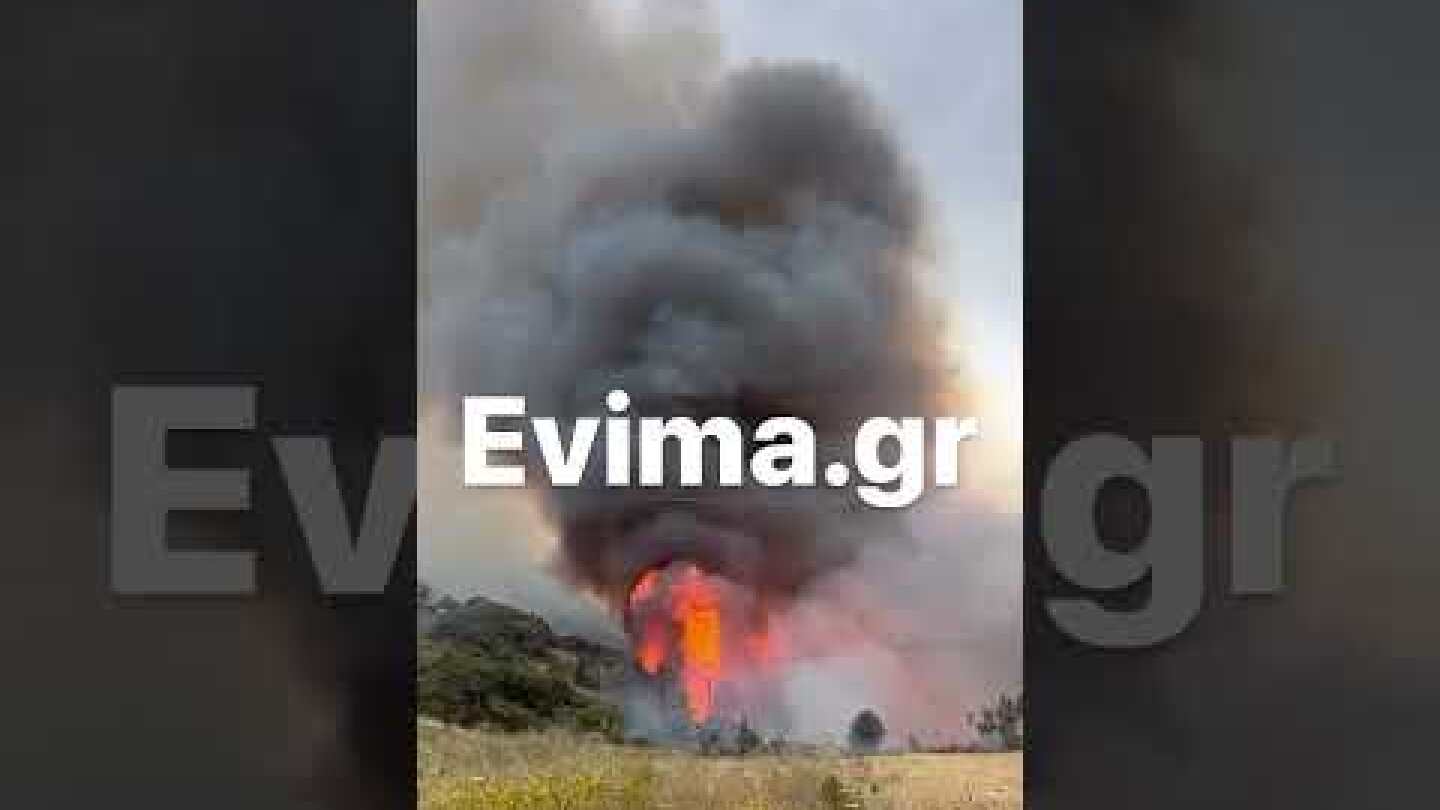 Μεγάλη φωτιά στην Εύβοια