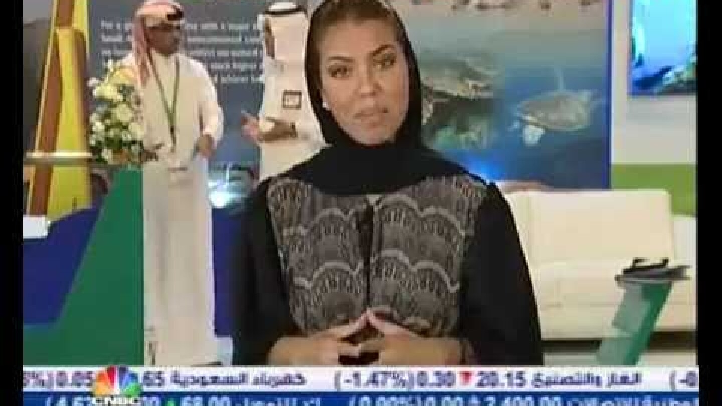 الموسمية من أهم مشاكل قطاع السياحة العربي