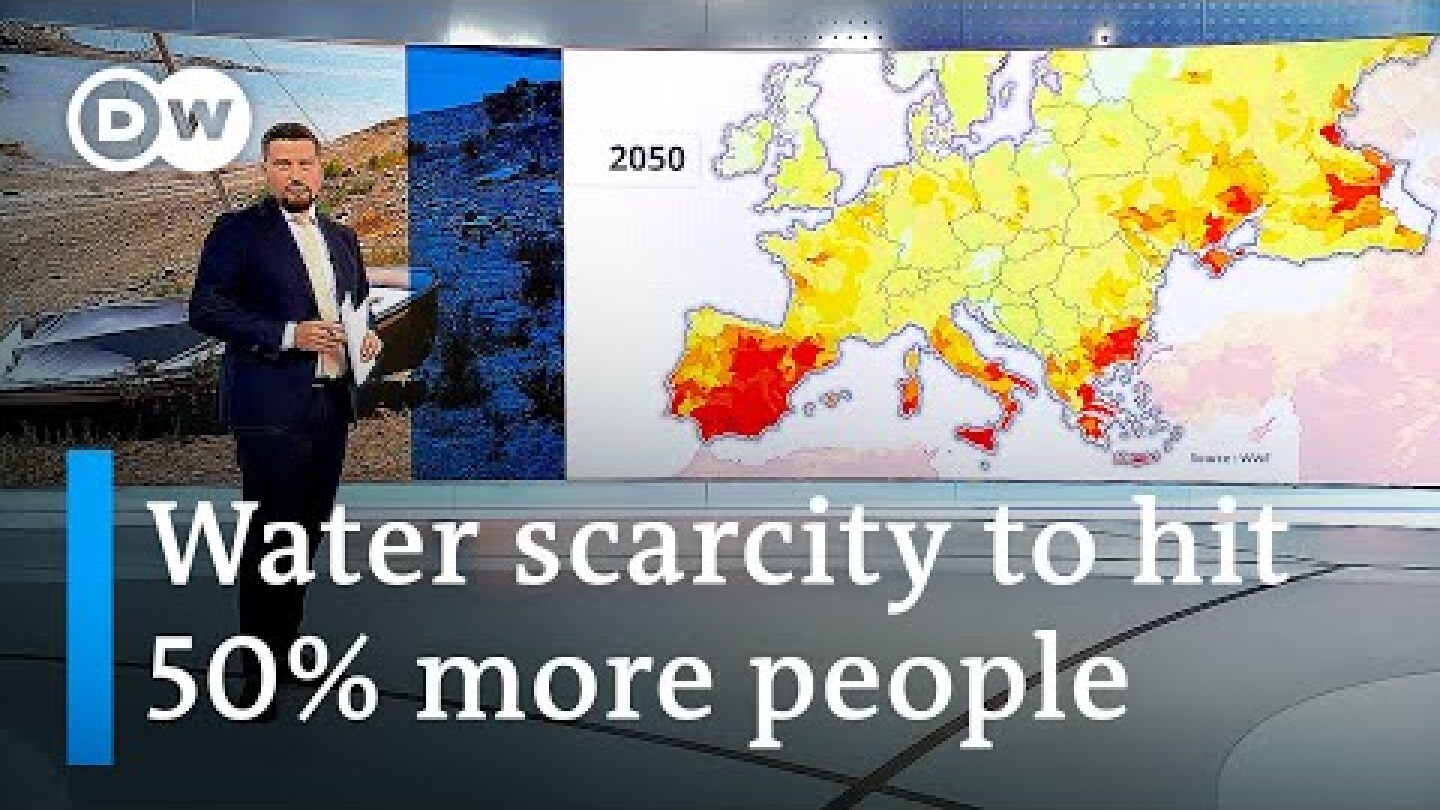 Europe's farmers look to a future of long-term drought | DW Business