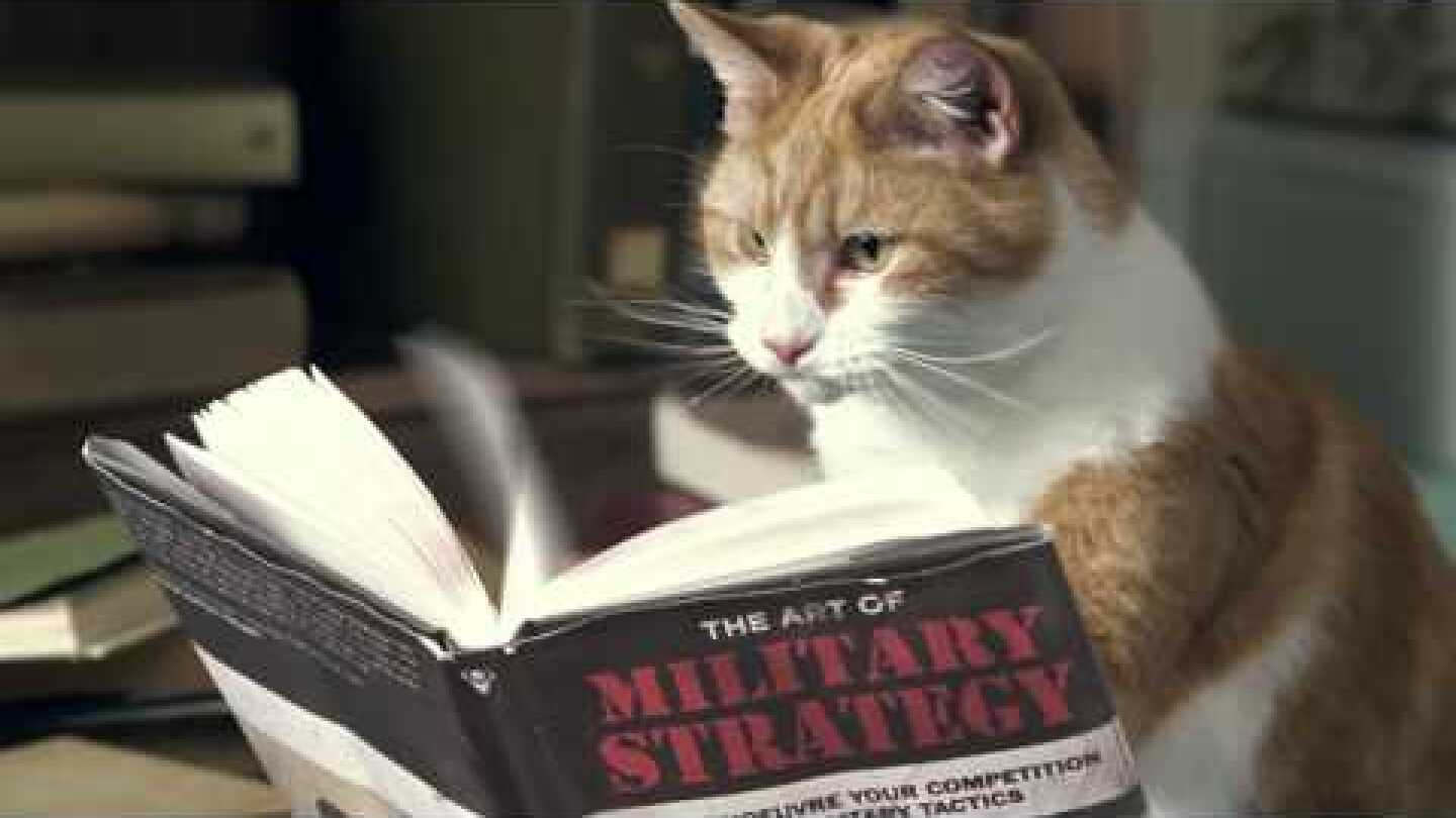 Cravendale   Cats with Thumbs #CatsWithThumbs