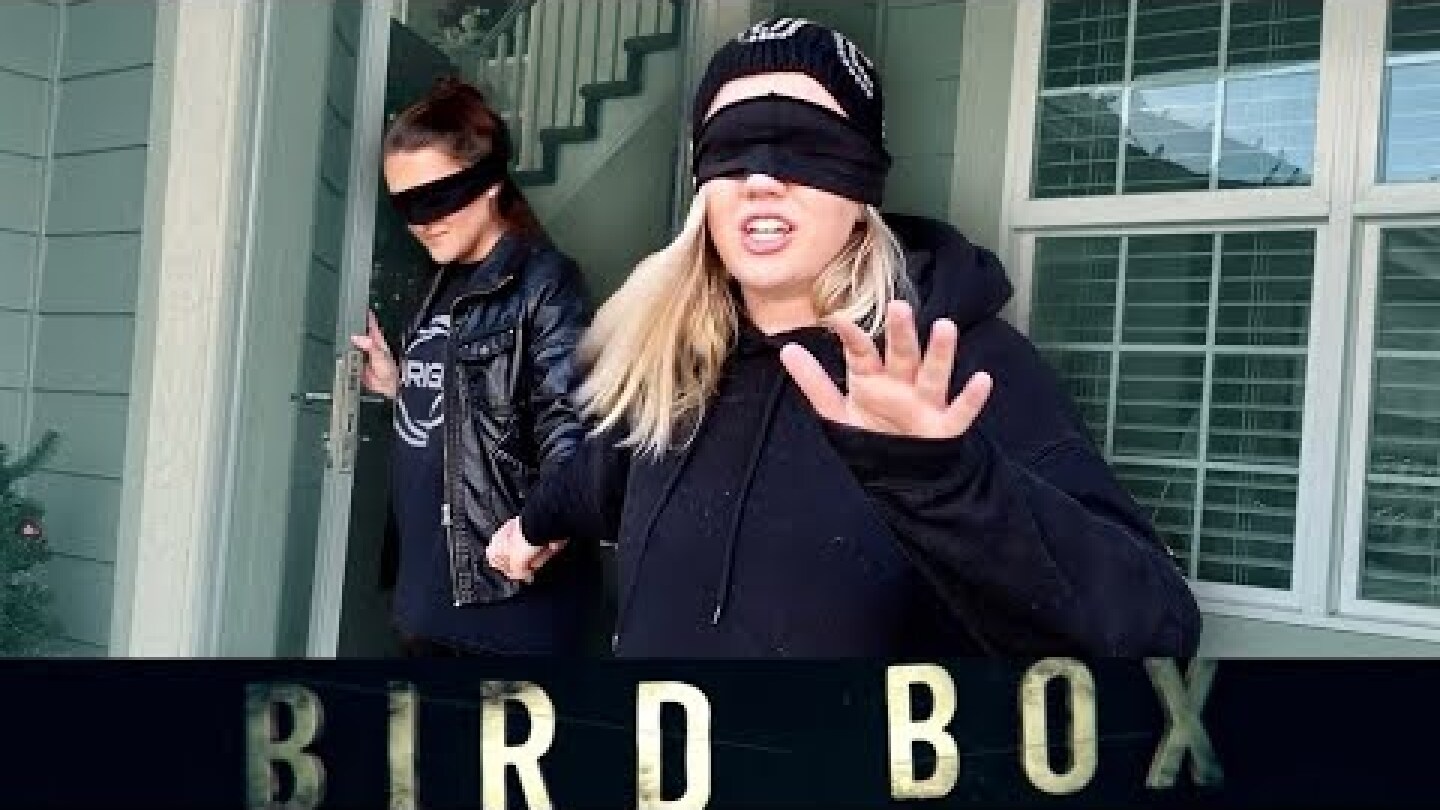24 Hour Bird Box Challenge
