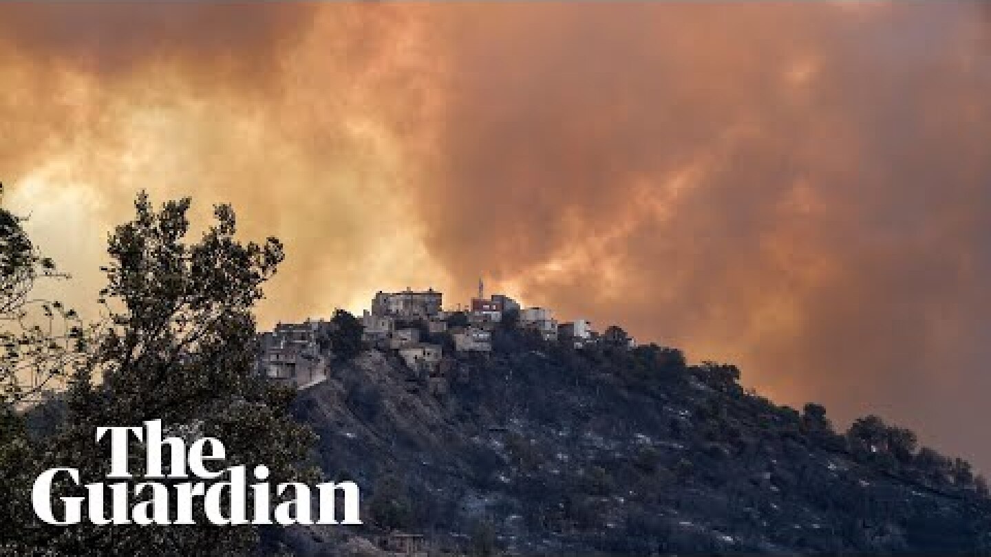 Wildfires in Algeria leave more than 40 dead including soldiers