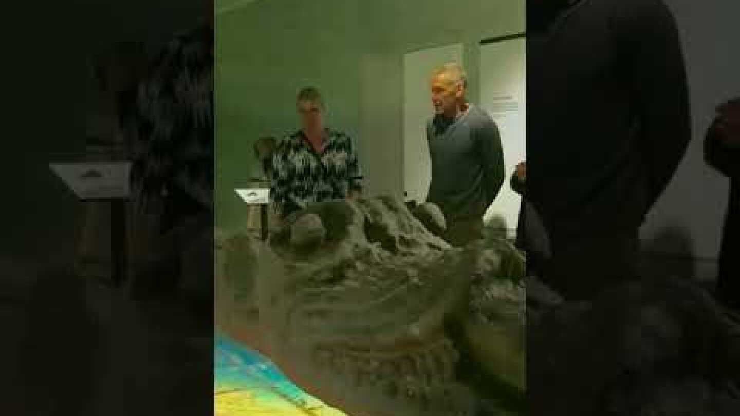 Denmark King's spice cabinet discovered on Gribshunden