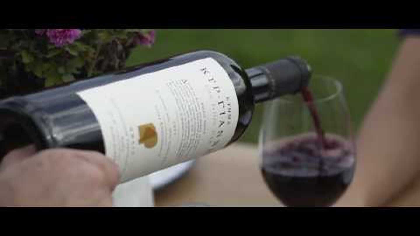 Κτήμα Κυρ-Γιάννη | The Fallen Oak