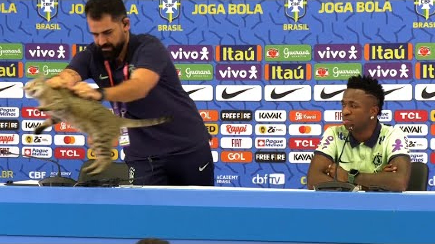 CRAZY moment a CAT interrupts Vinicius Jr.'s Brazil press conference 😂