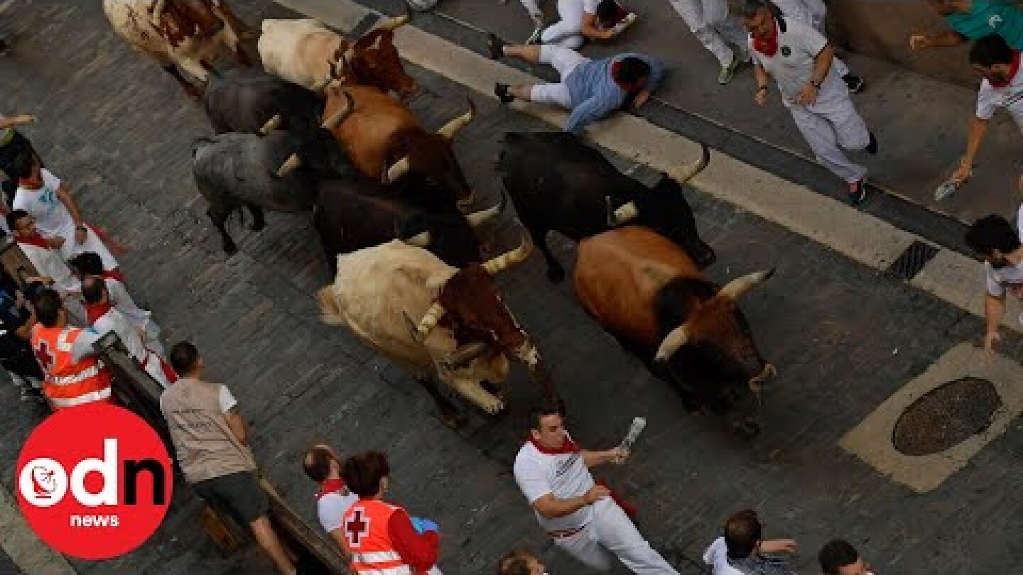 First Bull Run In Pamplona: At Least Five Injured At San Fermin Festival