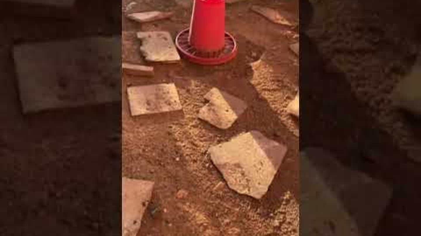 Kάτια Ζυγούλη:: Mας ξεναγεί στο κοτέτσι του σπιτιού της με τον Σάκη Ρουβά