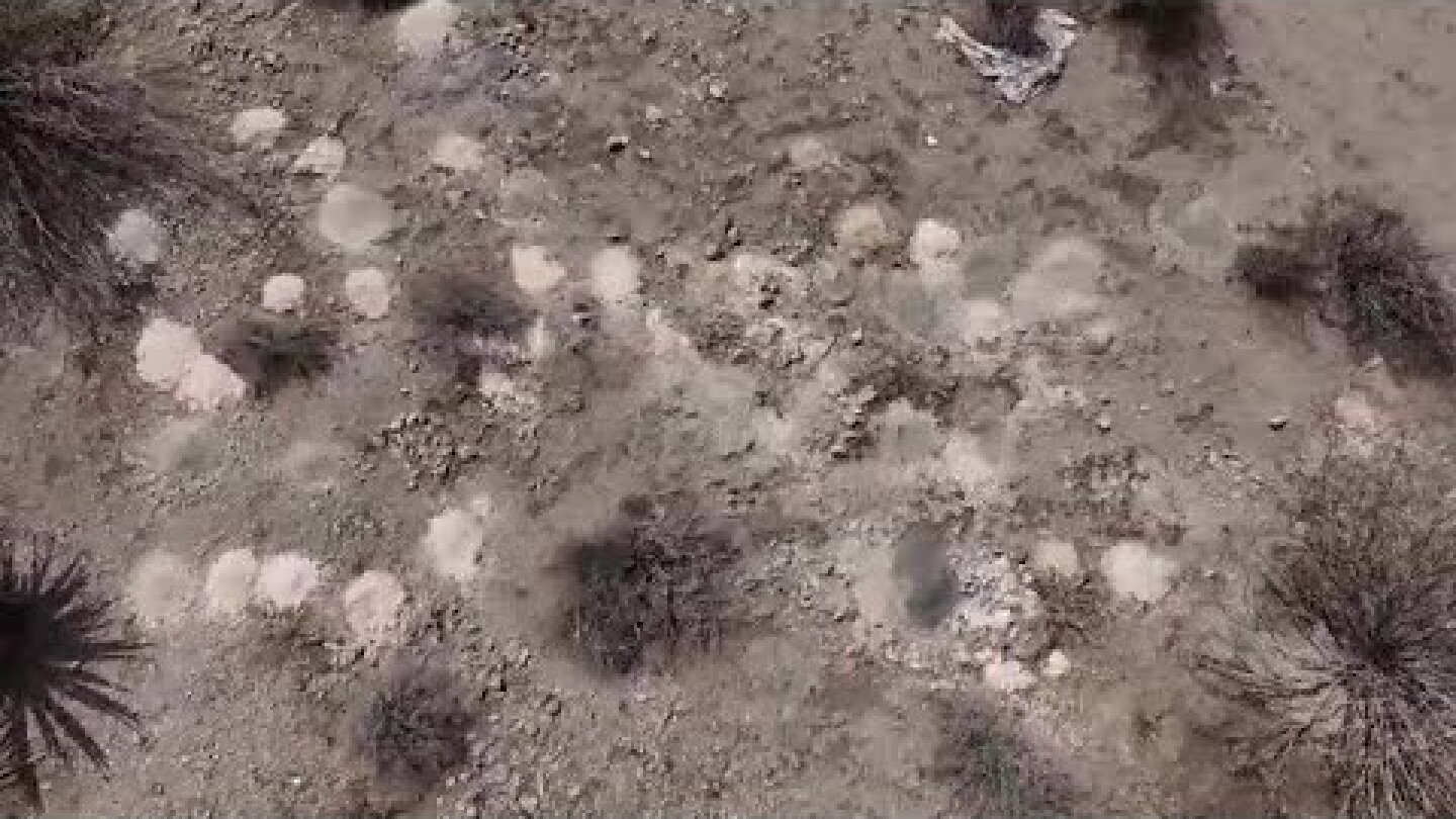 Who left 100+ piles of cremated human remains in the desert outside Las Vegas?