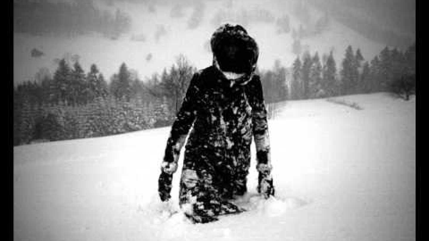 Pantha du prince Walden 2 HQ