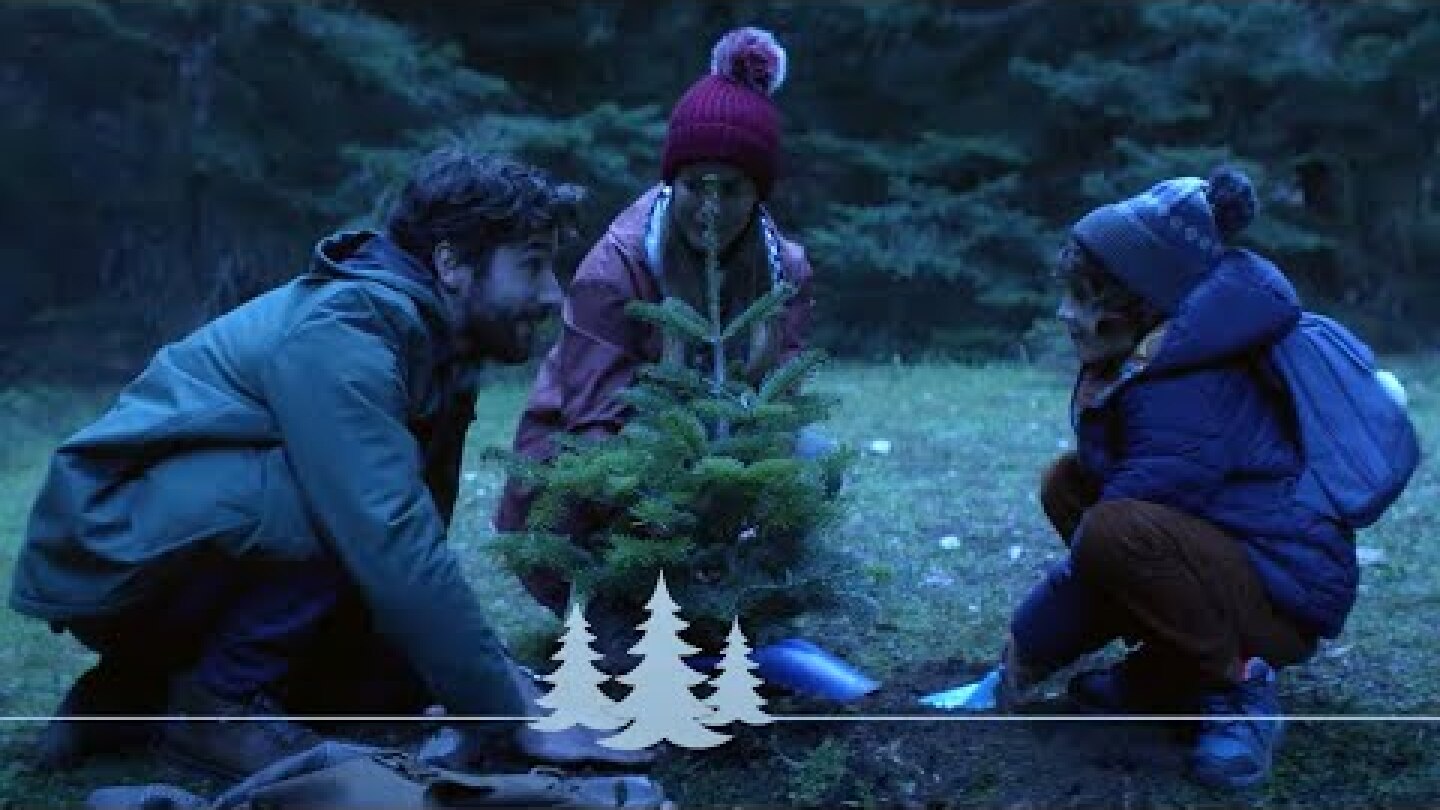 Μπαμπά, αυτό το Δέντρο είναι πάρα πολύ μικρό.