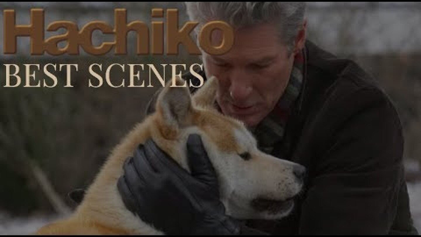 HACHIKO- Try not to cry