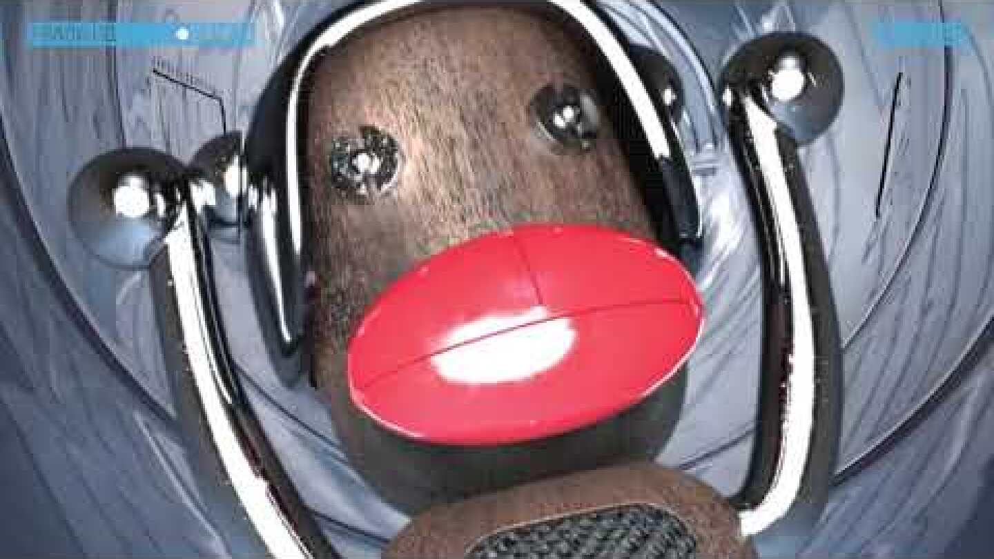 Pradamalia – zweite Episode: „Escape”