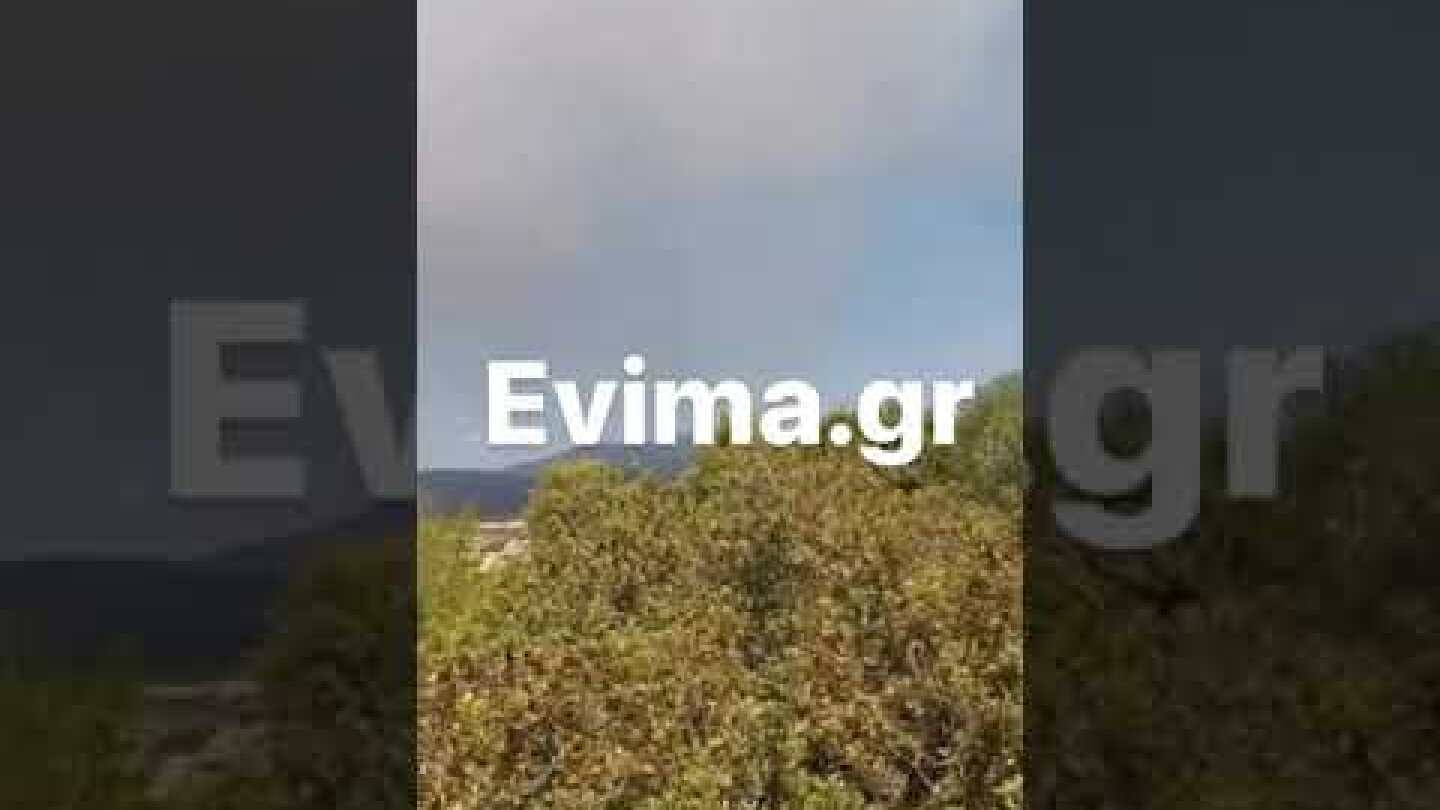 Φωτιά στον Πισσώνα Εύβοιας